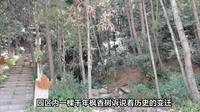 重庆三峡古枫香园旅游攻略