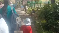 去乌鲁木齐植物园玩