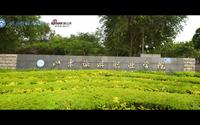 欢迎报考山东旅游职业学院！