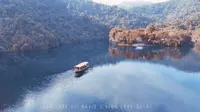 肇庆鼎湖山蝴蝶谷
