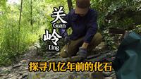 【旅行大冒险贵州篇125】关岭县|藏在深山里的露天博物馆，探寻几亿年前的化石
