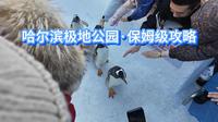 哈尔滨极地公园·保姆级攻略