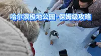 哈尔滨极地公园·保姆级攻略