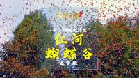 山谷“蝴蝶大爆发”——云南美物：蝴蝶谷（完整版）| 《美丽云南》（第三季）