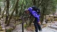东拉山