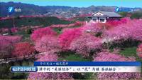 《福建新闻联播》龙岩漳平的“美丽经济”：以“花”为媒 茶旅融合