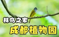 成都林鸟第一地——成都植物园