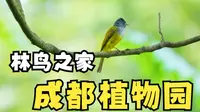 成都林鸟第一地——成都植物园