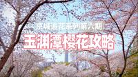 3.26实拍｜玉渊潭樱花攻略-1h看遍樱花省腿路线！