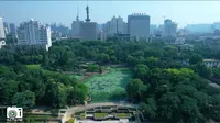 郑州紫荆山公园夏日美丽景色