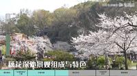 江苏英文导游考试范例-无锡鼋头渚景区