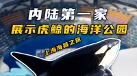 内陆第一家展示虎鲸的海洋公园！上海海昌海洋公园之旅！