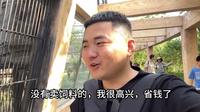 石家庄动物园太坑了吧，30元的门票整300元的活，5个小时都没转完