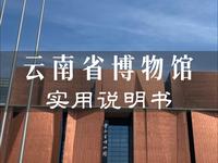 云南省博物馆必看攻略！一条视频讲清云博