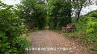 带你们玩衢州烂柯山