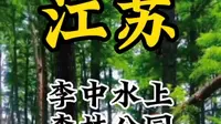 江苏李中水上森林公园