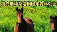 特克斯科桑溶洞国家森林公园 五月草原的时光慢调