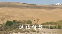 达拉特旗·响沙湾之旅（拍摄于2025年5月2日，内蒙古自治区鄂尔多斯市达拉特旗响沙湾旅游区-仙沙岛）