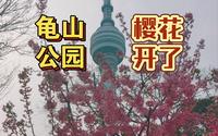 【武汉免费樱花攻略】龟山公园如何优雅赏花