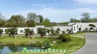 参观扬州瘦西湖扬派盆景博物馆室外展示区