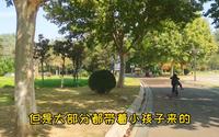 徐州沛县的沛公园，清华大学规划设计院规划设计，处处皆是风景！