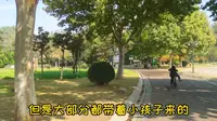 徐州沛县的沛公园，清华大学规划设计院规划设计，处处皆是风景！