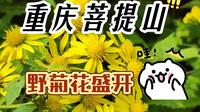 家花野花一样香-重庆长寿菩提山之旅3