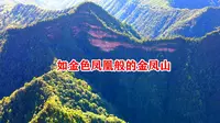 如火红金凤凰般的金凤山，航拍贵州遵义赤水市丹霞金凤山