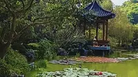 广州云溪植物园
