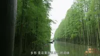 仙桃市-梦里水乡