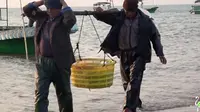 湛江徐闻放坡村，淳朴的民风与生活