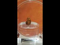 潍坊1532文化产业园1