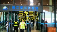 玉龙雪山～云杉坪（原始森林）