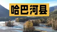 阿勒泰哈巴河县