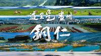 铜仁市《这里是贵州·铜仁》-宣传片-国家城市视频