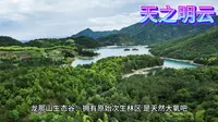 广东--梅州市雁南飞茶田5A景区最全攻略