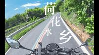 芭蕉箐荷花水乡