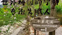 《失眠人的福音》陆河世外梅园宁静的声音