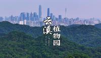 广州迎来了自己的“宫崎骏”世界—美如动漫的白云山云溪植物园