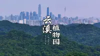 广州迎来了自己的“宫崎骏”世界—美如动漫的白云山云溪植物园