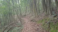 VID_20260612_145339（福建·厦门）天竺山森林公园 Xiaomi 13