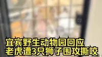 宜宾野生动物园回应老虎遭3只狮子围攻撕咬：已正常开业