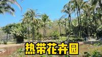 游览西双版纳热带花卉园，里面有各种珍奇的热带花卉