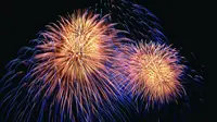 14年世纪公园烟火秀（手机拍摄，像素担忧T-T）