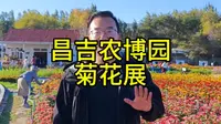 昌吉农博园菊花展，亲子游的一天，不错哦～