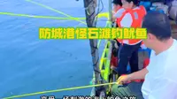 防城港怪石滩钓鱿鱼