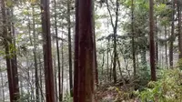 【生活】国庆两日游 浠水三角山 沉浸式旅游