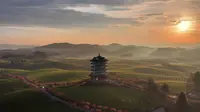 这里是中国茶海，海里的樱花也盛开了！这里的美是言语无法表达的，想拍的可以来了！#茶海 #中国茶海 #茶海的樱花开了 #寻美贵州 #寻美遵义 #湄潭