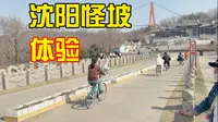 25.3.22沈阳怪坡虎园一日游