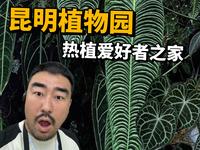 昆明植物园！你这么舍得花钱不要命啦？！